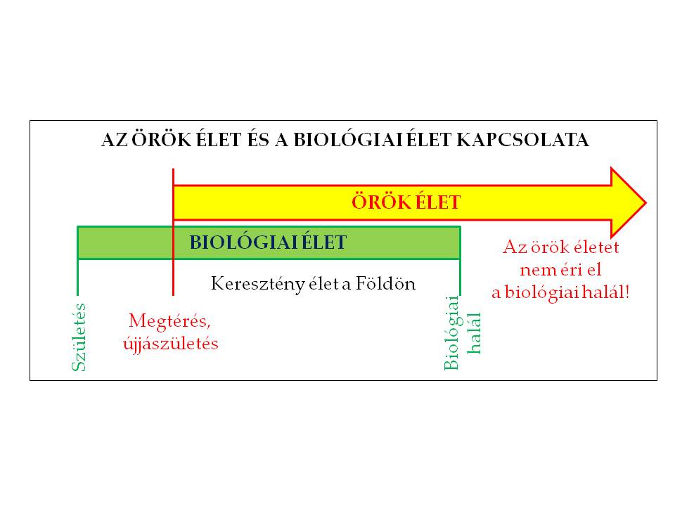 Az örök élet és a biológiai élet kapcsolatának szemlétetése